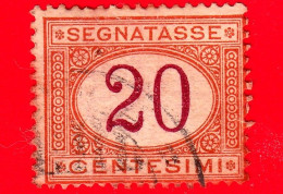 ITALIA - Usato -  1870 - 1890 - Segnatasse - Cifra Entro Un Ovale - 20 C. - Impuestos