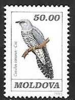 Moldova - MNH ** 1993 :     Common Cuckoo  -  Cuculus Canorus - Koekoeken En Toerako's
