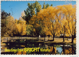 BRIGHT, Victoria, Picnic Area Ans Swimming Pool  In Centenary Park ... Nice Stamp - Autres & Non Classés