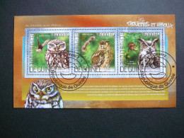 Owls. Eulen. Les Hiboux  # Guinea Guinee 2014 Used S/s #32 Birds - Hiboux & Chouettes