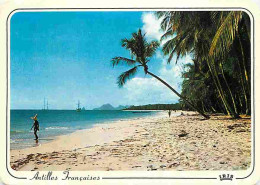 Antilles - Antilles Francaise - Plage De Cocotiers - CPM - Voir Scans Recto-Verso - Andere & Zonder Classificatie