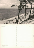 Ansichtskarte Lubmin Strand Mit Strandkörben 1974 - Lubmin