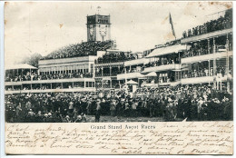ANGLETERRE CPA Voyagé 1904 * Grand Stand ASCOT RACES ( Hippodrome ) Très Animée - Andere & Zonder Classificatie
