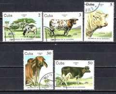 Cuba 1984 Animaux Bovins (200) Yvert 2570 à 2574 Oblitérés Used - Usati