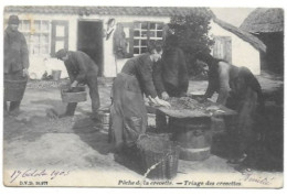 Belgique - Oostduinkerke - Pêche De La Crevette - Triage Des Crevettes  / RARE CARTE 1905 - Oostduinkerke