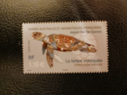 Fsat 2024 Taaf Antarctic Scattered Wildlife Hawksbill Turtle Eparses Island 1v Mnh BDF UP BLANC - Unused Stamps