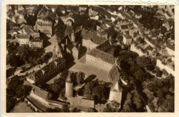 Altenburg - Schloss - Reiswinterhilfe - Ganzsache - Altenburg