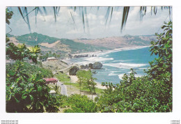 Antilles BARBADES BARBADOS Bathsheba Coast En 1980 VOIR 2 TIMBRES D'Oiseaux - Barbados (Barbuda)