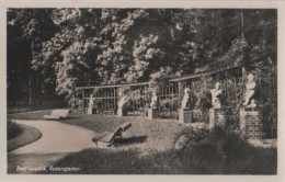 17499 - Bad Lausick - Rosengarten - Ca. 1955 - Bad Lausick