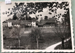 Duillier - Le Château Lors Du Camp De Louveteau La Chapelle - Juillet 1949 (16'734) - Duillier
