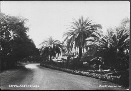 Russia Georgia Abkhazia Gagra View Old Real Photo PC 1950s. Caucasia - Georgien