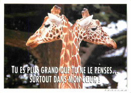 Animaux - Girafes - Carte à Message Humoristique - CPM - Voir Scans Recto-Verso - Jirafas