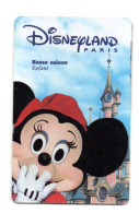 FRANCE PASSEPORT DISNEYLAND PARIS - Disney