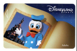 FRANCE PASSEPORT DISNEYLAND PARIS - Disney