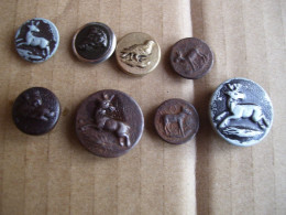 LOT 8 BOUTONS DE CHASSE  :  CERF - BICHE - FAISAN - SANGLIER -  BOUTON DE VENERIE - - Buttons