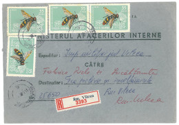 CIP 19 - 306-a Ministerul Afacerilor Interna, Rm. VALCEA - REGISTERED Cover - Used - 1968 - Cartas & Documentos