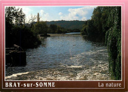 80 - Bray Sur Somme - CPM - Voir Scans Recto-Verso - Bray Sur Somme