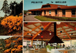 N°1260 Z -cpsm Pelussin "le Grillon" - Pelussin
