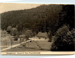 Seyde, Zwergbaude - Hinterhermsdorf