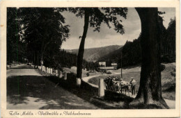 Zella-Mehlis, Waldmühle U. Veilchenbrunnen - Zella-Mehlis