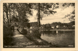 Bad Georgenthal I.Thür., Promenade Am Hammerteich - Georgenthal