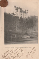 43  -  Carte Postale Ancienne De  BLESLE  Chateau De Torciac        ( Dos Simple ) - Blesle