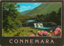 Irlande - Galway - Connemara - Aasleagh  Falls Near Leenane - Cascades - Fleurs - CPM - Voir Scans Recto-Verso - Galway