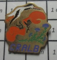 1618B  Pin's Pins / Beau Et Rare : SPORTS / CLUB BOXE LORRAINE CHARDON CIGOGNE CRALB - Boxe