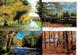 10 Anciennes CP Du Canada (Ottawa, Montréal, Québec, Ontario, Érables...) Vers 1995 (non Circulées) - Collections & Lots