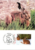 GERMANY  MC, Hare    /    ALLEMAGNE Carte Maximume,  Lapin   2006 - Hasen