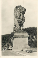 Postcard Belgium Gileppe  Le Lion Et Le Lac - Gileppe (Barrage)