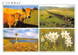 L AUBRAC 23(scan Recto-verso) MA900 - Aumont Aubrac