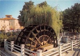 ISLE SUR LA SORGUE La Venise Comtadine Vielle Roue A Aubes 29(scan Recto-verso) MA958 - L'Isle Sur Sorgue