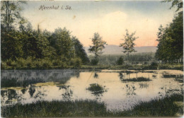 Herrnhut In Sachsen - Herrnhut