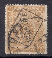 TURQUIE TIMBRE POUR JOURNAUX  N° 10   OBLITERE - Newspaper Stamps