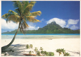 POLYNESIE FRANCAISE - Bora Bora Vue De La Plage Du Motu Tupe - Seen From The Beach Of Motu Tupe - Carte Postale - French Polynesia