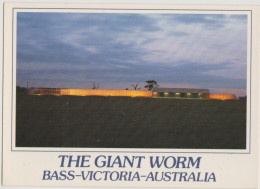 Australia VICTORIA VIC The Giant Worm BASS Nucolorvue 17GI019 Postcard C1980s - Gippsland