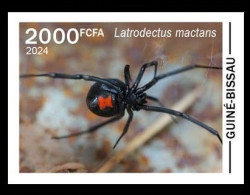 GUINEA BISSAU 2024 IMPERF STAMP 1V - POISONOUS TOXIC VENOMOUS - BLACK WIDOW SPIDER SPIDERS VEUVE NOIRE - MNH - Araignées