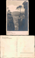 Pfaffendorf-Königstein (Sächsische Schweiz) Blick Vom Nadelöhr Lilienstein 1910 - Königstein (Sächs. Schw.)