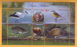 2014 Moldova Moldavie Moldau  Animals. Fauna. Stork. Wagtail. Carp. Perch. Snail  Block Mi67 Mint - Pigeons & Columbiformes