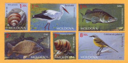 2014 Moldova Moldavie Moldau  Animals. Fauna. Stork. Wagtail. Carp. Perch. Snail  6v Mint - Pigeons & Columbiformes