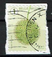 België / Belgique / Belgium / Belgien Plataan 2021 (OBP 5028 ) - Oblitérés