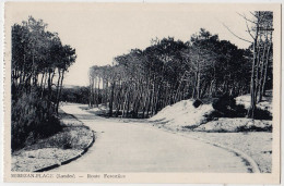 40 - B17054CPA - MIMIZAN PLAGE - Route De La Plage - Photo Vignes - Parfait état - LANDES - Mimizan Plage