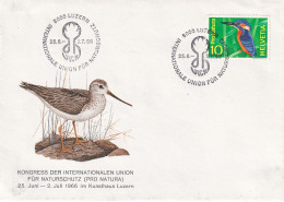 Luzern Kongress Der Internationalen Union Fur Naturschutz Pro Natura 1966 Oiseaux - Briefe U. Dokumente