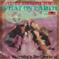 BLOSSOM TOES - What On Earth - Sonstige - Englische Musik