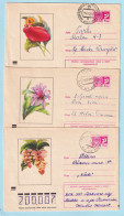 USSR 1972.0118. Flowers. Prestamped Covers (3), Used - 1970-79