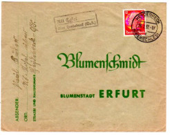 DR 1937, Landpost Stpl. ALT COSEL über Heydebreck Auf Brief M. 12 Pf.  - Lettres & Documents