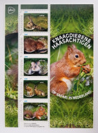 NETHERLANDS 2024 FAUNA Animals RODENTS And HARES - Fine S/S MNH - Neufs