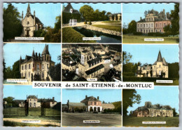 GF (44) 1119, Saint St Etienne De Montluc, Artaud, Multi-vues - Saint Etienne De Montluc