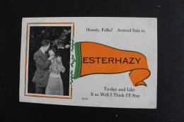 S-C-71/Canada-Saskatchewan ? Howdy, Folks? Arrived Safe In Esterhazy To-day And Like It So Well I Think L'Il Stay /1919 - Other & Unclassified